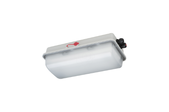 Imagem de e856FL05/1/1,6 - Armadura Emergência ATEX 1/21, 510lm, 1h