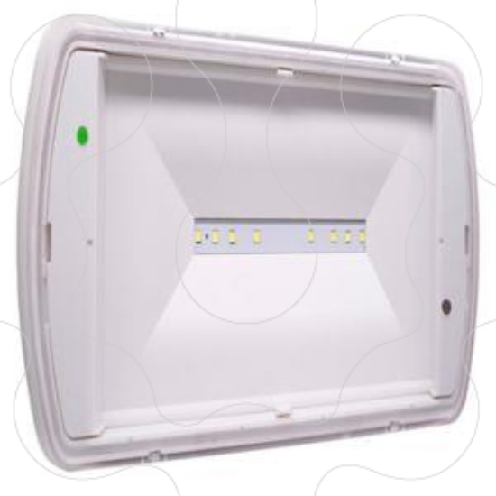 Imagem de Safelite 20m 1h nm/m IP65 300lm TC