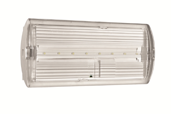 Imagem de Ledus8 2h TC Pictograma incluido