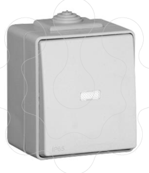 Imagem de INTERRUPTOR C/SINALIZAÇÃO CINZENTO