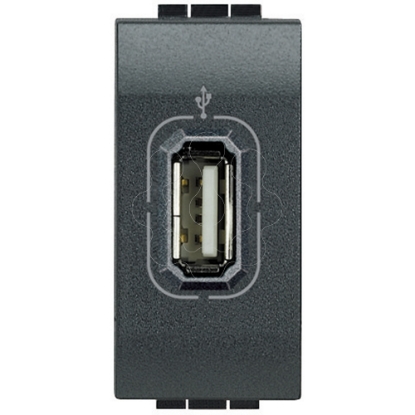 Mostrar detalhes para Livinglight - Tomada audio/video - USB - Antracite - 1 modulo Imagem de Livinglight - Tomada audio/video - USB - Antracite - 1 modulo