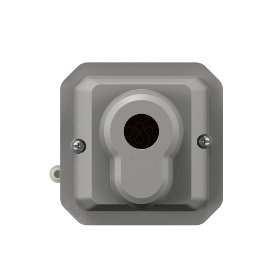 Imagem de Plexo IP 55 componível - Interruptor com chave DIN - 2 posições, Cinzento