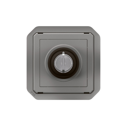 Mostrar detalhes para Plexo IP 55 componivel   Interruptor chave Ronis N? 455   2 posicoes Cinzento Imagem de Plexo IP 55 componivel   Interruptor chave Ronis N? 455   2 posicoes Cinzento