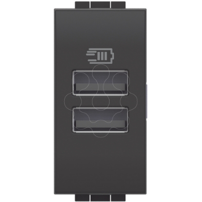 Mostrar detalhes para Livinglight   Tomada carregadora 2 x USB Tipo A 3 A   Antracite 1 modulo Imagem de Livinglight   Tomada carregadora 2 x USB Tipo A 3 A   Antracite 1 modulo