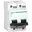 Mostrar detalhes para C120N - circuit breaker - 2P - 125A - D curve Imagem de C120N - circuit breaker - 2P - 125A - D curve