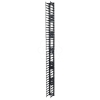 Imagem de Gestor de Cabo Vertical para NetShelter SX 42U com 750 mm de Largura Qtd. 2