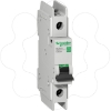 Imagem de Multi 9 - C60BP - MCB - 1P - 2 A - Curva C - 277 V - 10 kA - UL 489