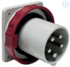 Imagem de PratiKa plug - straight - 125A - 3P + N + E - 380...415 V AC - IP67 - panel