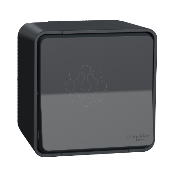 Imagem de Inversor de grupo monobloco Mureva Styl saliente IP55 16A Cinzento