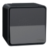 Imagem de Mureva Styl - Interruptor bipolar monobloco - saliente - IP55 - 16A - Cinzento