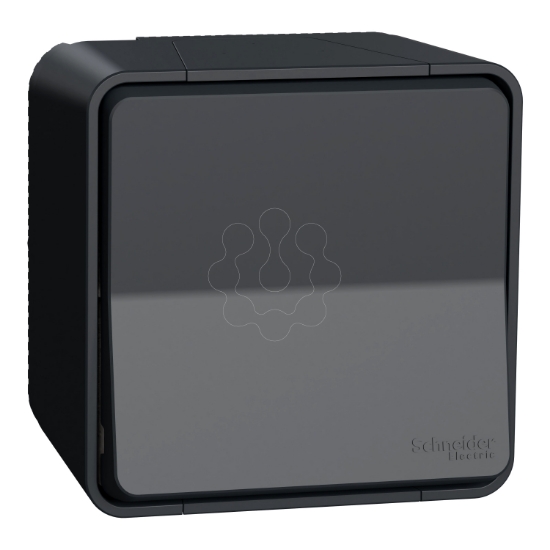 Imagem de Mureva Styl - Interruptor bipolar monobloco - saliente - IP55 - 16A - Cinzento
