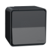 Imagem de Mureva Styl - Interruptor bipolar monobloco - saliente - IP55 - 16A - Cinzento