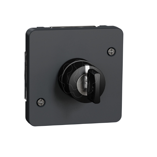 Imagem de Mureva Styl - Interruptor chave 3 posicoes - encastrar/saliente - IP55 - 3A - Cinzento