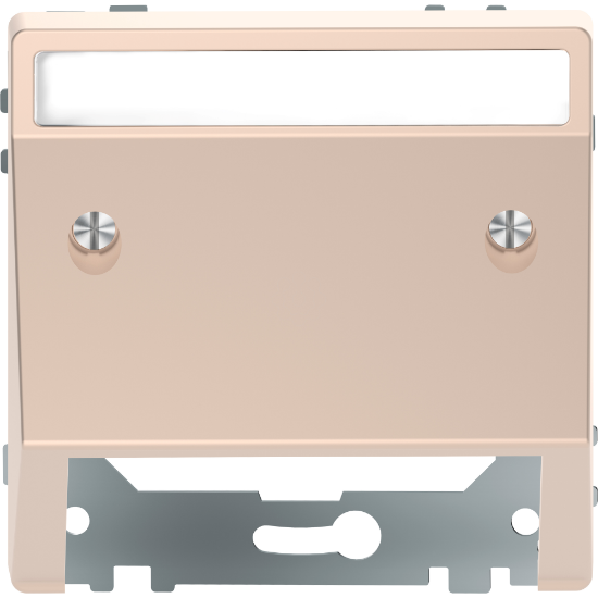 Imagem de D-Life - Saida de cabos com porta-etiqueta - Metal champanhe