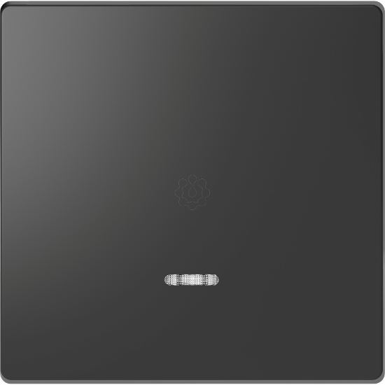 Imagem de D-Life - Tecla com visor - Antracite