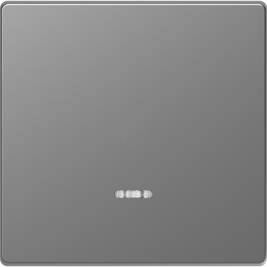 Imagem de D-Life - Tecla com visor - Aco