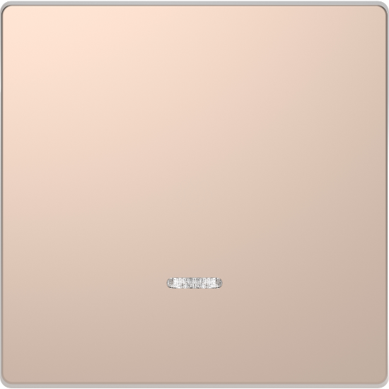 Imagem de D-Life - Tecla com visor - Metal champanhe