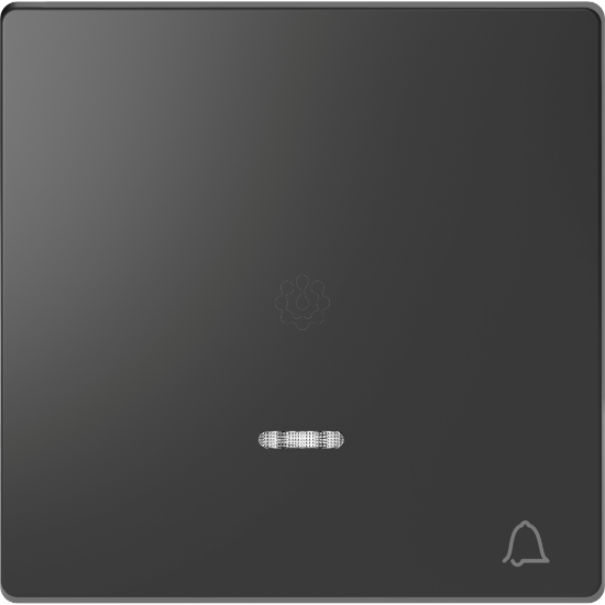 Imagem de D-Life - Tecla com visor "campainha" - Antracite