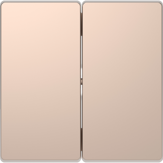 Imagem de D-Life - Tecla dupla - Metal champanhe