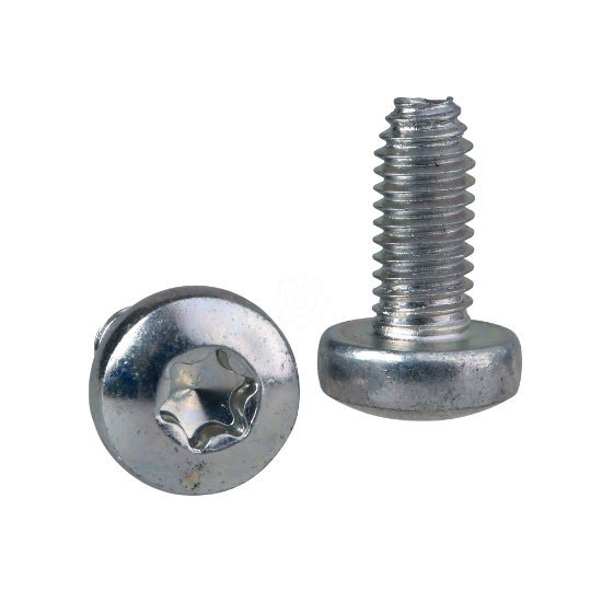 Imagem de Self-tapping Torx screw M6x12mm + captive washer. Supply: 100 units