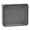 Imagem de PC box IP66 IK08 RAL7035 Int.H325W275D120 Ext.H341W291D128 Transp.cover H20