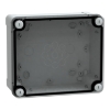 Imagem de ABS box IP66 IK07 RAL7035 Int.H175W150D80 Ext.H193W164D87 Transp.cover H20