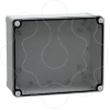 Imagem de ABS box IP66 IK07 RAL7035 Int.H275W225D120 Ext.H291W241D128 Transp.cover H20