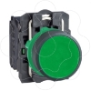 Imagem de Push button plastic flush verde o22 spring return unmarked 1 no