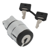 Imagem de Cabeca  interruptor selector- o 22 - 2 posicoes- ronis 421e - qualquer posicao