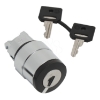 Imagem de Cabeca  interruptor selector- o 22 - 2 posicoes- ronis 421e - qualquer posicao