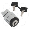 Imagem de Cabeca  interruptor selector- o 22 - 2 posicoes- ronis 421e - qualquer posicao