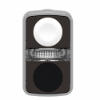 Imagem de Branco   flush/preto   flush illuminated double-headed pushbutton o22 unmarked