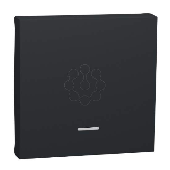 Imagem de Nova Unica - Tecla com visor - Antracite