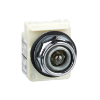 Imagem de 30MM PILOT LIGHT TRANSFORMER 120V