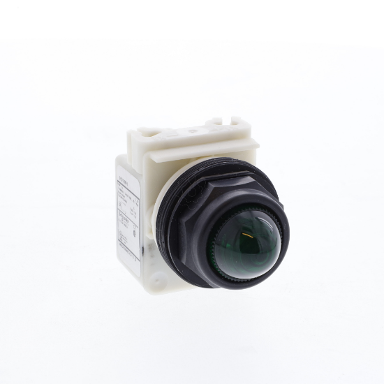 Imagem de PILOT LIGHT 120VAC 30MM SK +OPTIONS