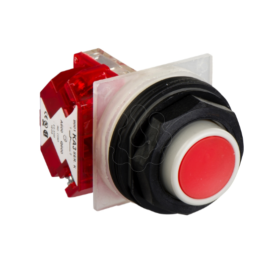 Imagem de PUSHBUTTON 600VAC 10AMP 30MM SK +OPTIONS