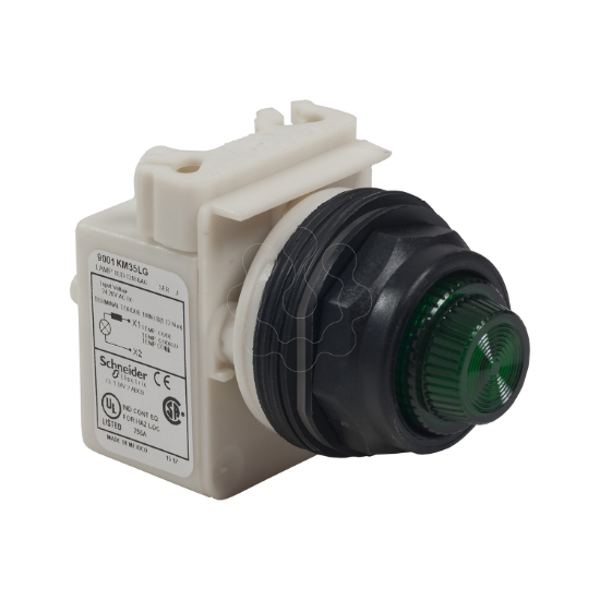 Imagem de PILOT LIGHT 120V 30MM SK +OPTIONS