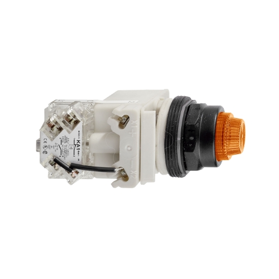 Imagem de PILOT LIGHT 28V 30MM SK +OPTIONS