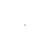 Imagem de Extensao de Cabo para Fugas NetBotz - 20 pes