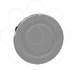 Imagem de Branqueamento o30 flush