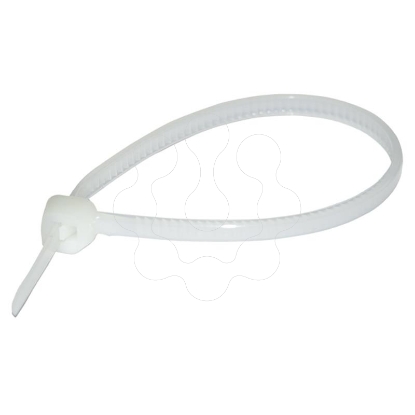 Mostrar detalhes para Abracadeira transparente 370mm Imagem de Abracadeira transparente 370mm
